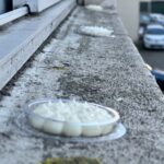 31 01059 2 1 - Ecoced 31 01059 2 1 - Ecoced