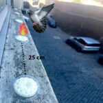 31 01059 4 - Ecoced 31 01059 4 - Ecoced