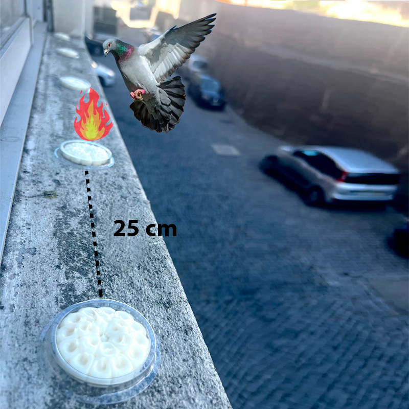 31 01059 4 - Ecoced 31 01059 4 - Ecoced