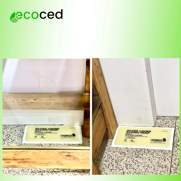 31 02117 5 - Ecoced