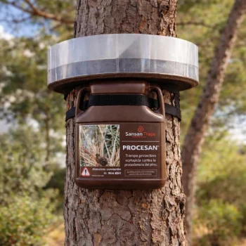 Armadilha ecológica para controlo da processionária do pinheiro instalada num tronco de pinheiro