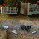 Armadilha Humanizada para Gatos – Captura Segura e Sem Sofrimento | Ecoced - Ecoced