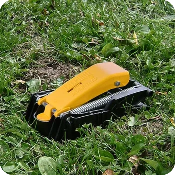 Armadilha para Toupeiras Talpirid Armadilha no Jardim - Ecoced