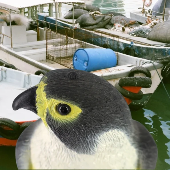 Falcão Guardião na Marina – Dissuador de Gaivotas Ecológico | Ecoced - Ecoced