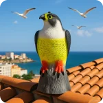 Falcão Guardião instalado em telhado urbano – Dissuasor de Gaivotas Ecoced - Ecoced Falcão Guardião instalado em telhado urbano – Dissuasor de Gaivotas Ecoced - Ecoced
