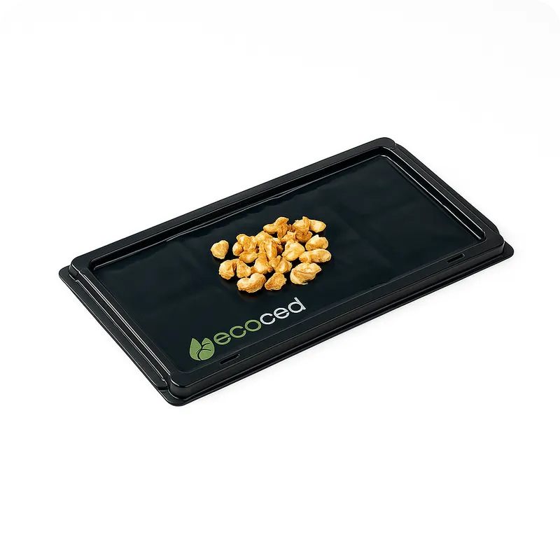 Placas Adesivas Ecoced com Miolo de Noz – Armadilha de Cola para Ratos - Ecoced Placas Adesivas Ecoced com Miolo de Noz – Armadilha de Cola para Ratos - Ecoced