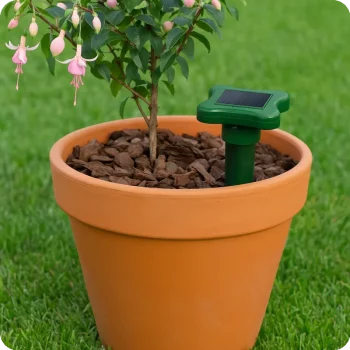 Repelente Solar para Formigas Gardigo – Vaso de Terracota em Jardim - Ecoced Repelente Solar para Formigas Gardigo – Vaso de Terracota em Jardim - Ecoced
