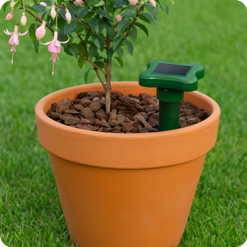 Repelente Solar para Formigas Gardigo – Vaso de Terracota em Jardim - Ecoced Repelente Solar para Formigas Gardigo – Vaso de Terracota em Jardim - Ecoced