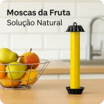 Stick Adesivo para Moscas da Fruta em Fruteira de Cozinha | Ecoced - Ecoced