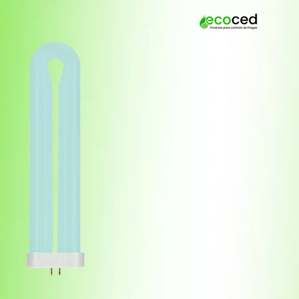 31 06065 4 - Ecoced