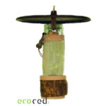 31 08126 - Ecoced