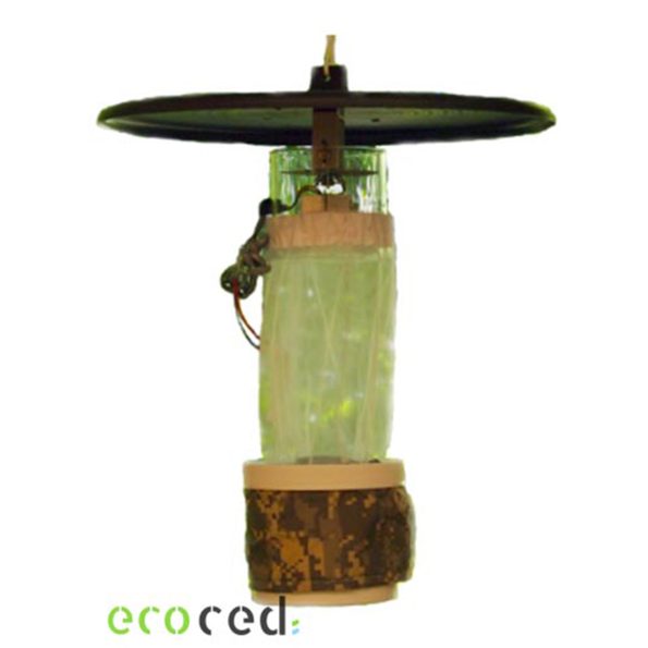 31 08126 - Ecoced