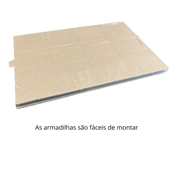 31 02065 5 - Ecoced
