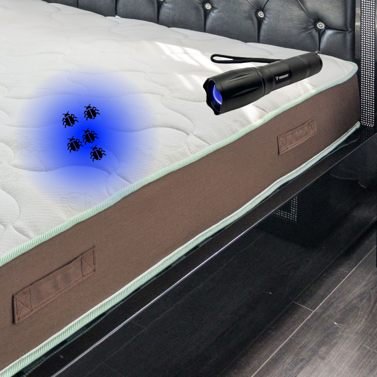 31 06314 10 - Ecoced 31 06314 10 - Ecoced