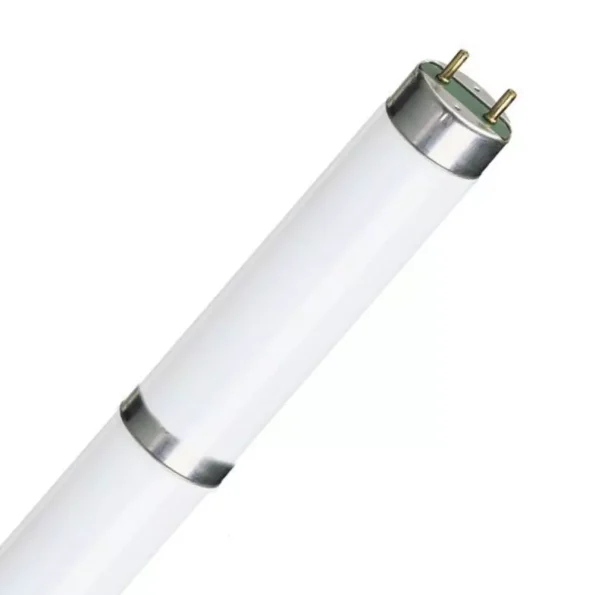 AnyConv.com  31 06052 - Ecoced