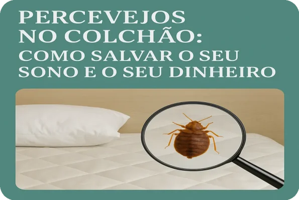 percevejos colchao 1000x667 - Ecoced