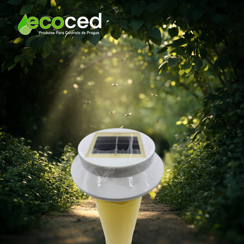 89 - Ecoced 89 - Ecoced