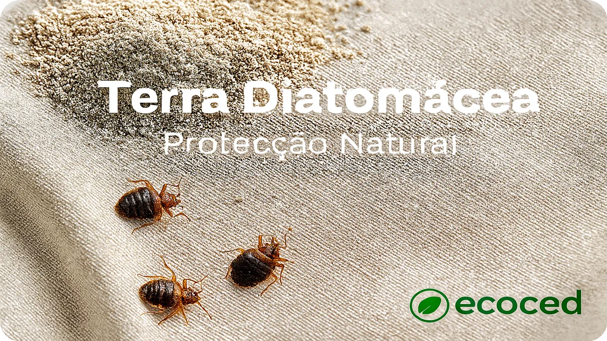 Aplicação de terra diatomácea contra percevejos em colchão