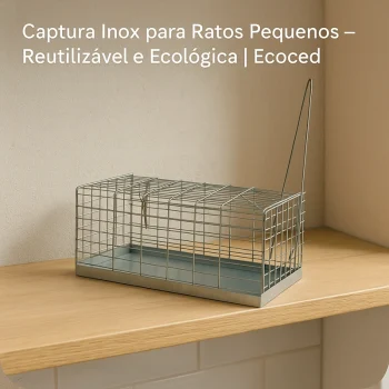 Captura Inox para Ratos Pequenos – Reutilizável e Ecológica | Ecoced - Ecoced